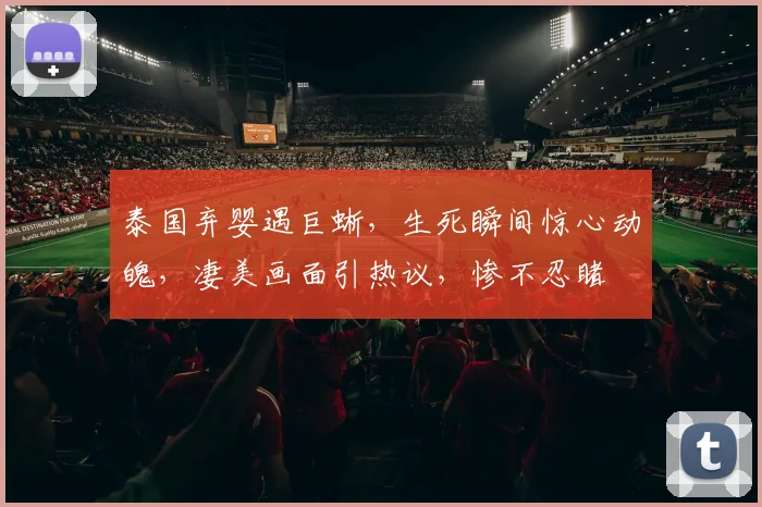 泰国弃婴遇巨蜥，生死瞬间惊心动魄，凄美画面引热议，惨不忍睹