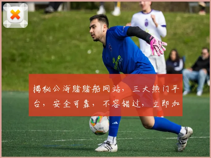 揭秘公海赌赌船网站，三大热门平台，安全可靠，不容错过，立即加入