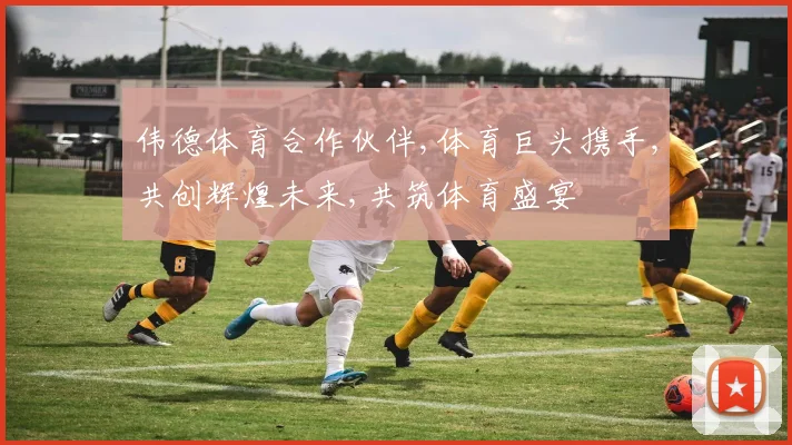 伟德体育合作伙伴,体育巨头携手,共创辉煌未来,共筑体育盛宴