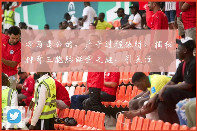 海马是公的，产子过程独特，揭秘神奇三胞胎诞生之谜，引关注