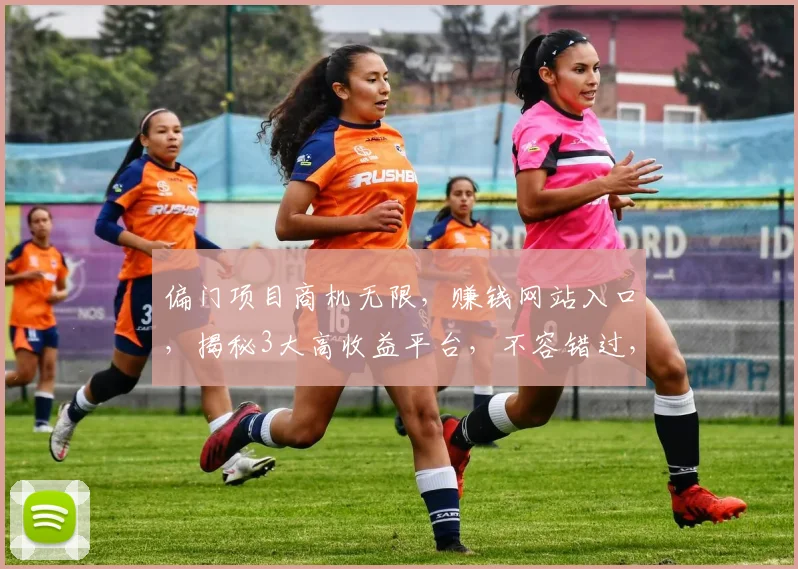 偏门项目商机无限，赚钱网站入口，揭秘3大高收益平台，不容错过，